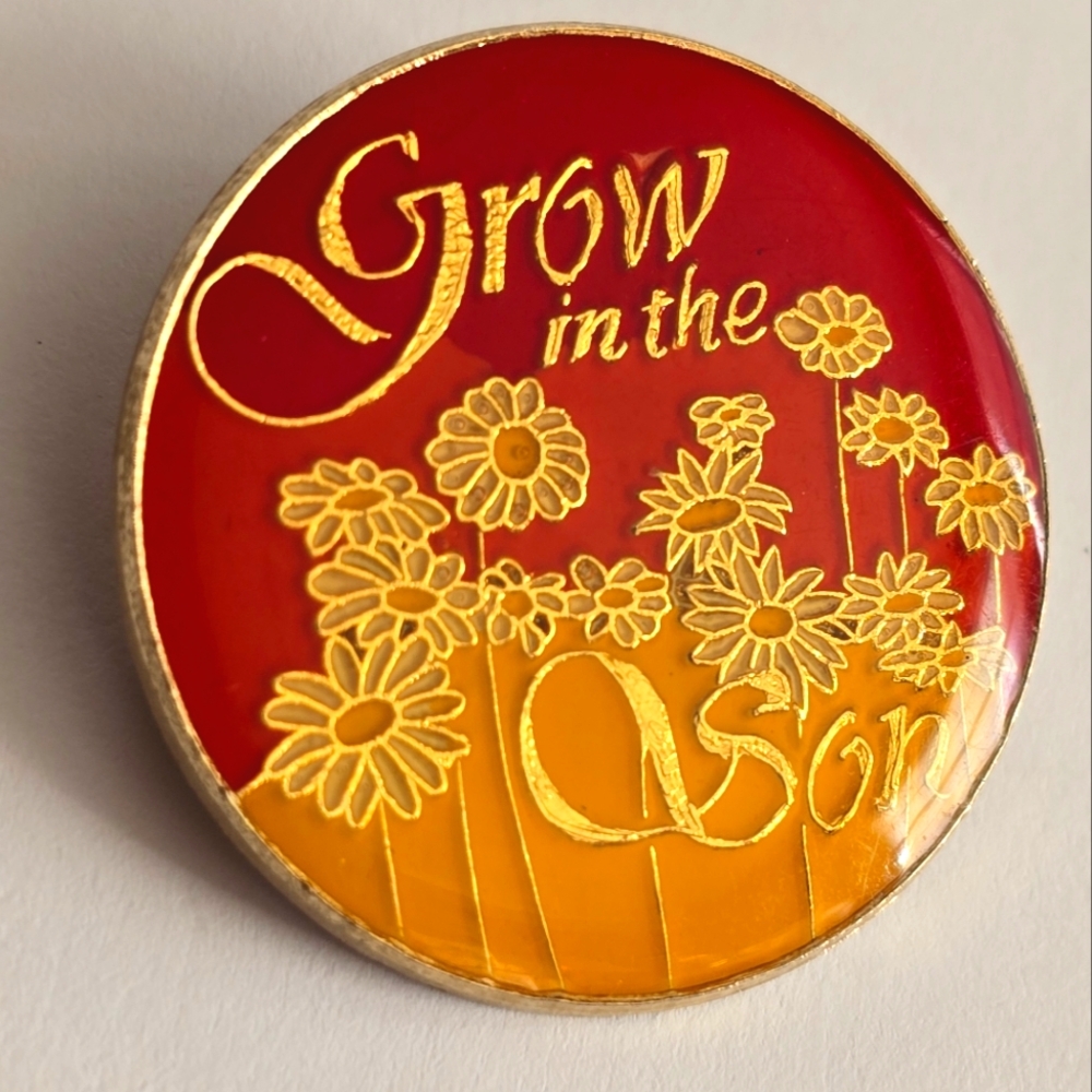 Vintage Grow in the Son pin brooch religious Christian floral gold tone